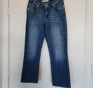 Levi's Classic Blue Women's Jeans Straight Leg 30x25